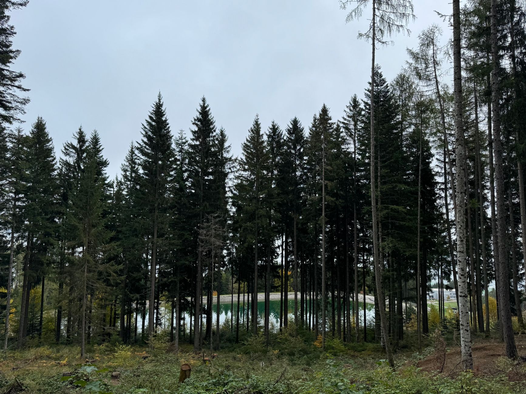 Rows of wooden lodges and a central leisure dome at a UK holiday village in autumn