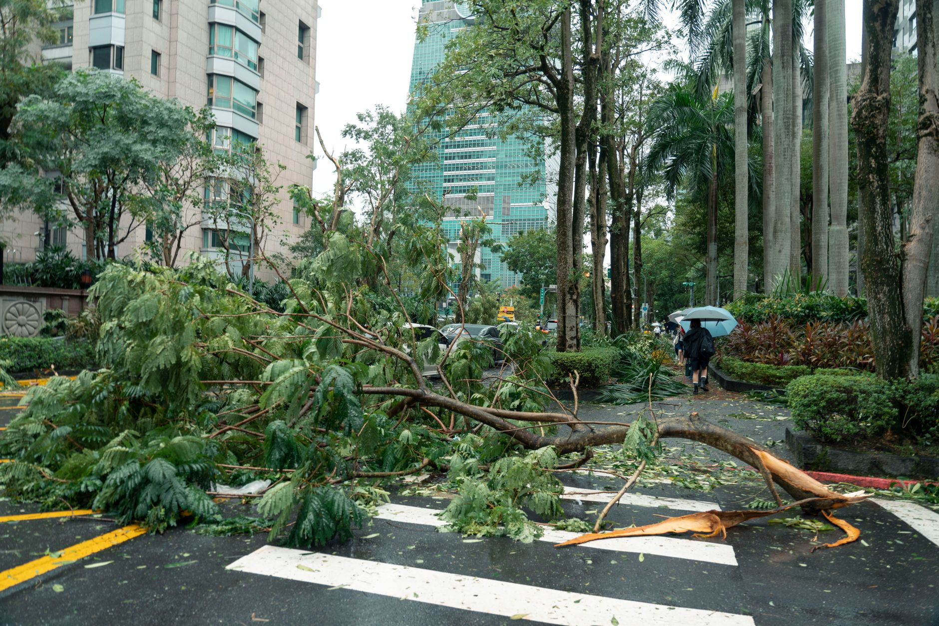 Collapsed Taoist ceremonial structure in Keelung, Taiwan, after Typhoon Champi winds