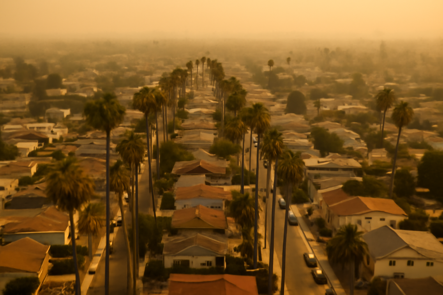 Aerial view of Los Angeles neighborhood rooftops under a hazy sky