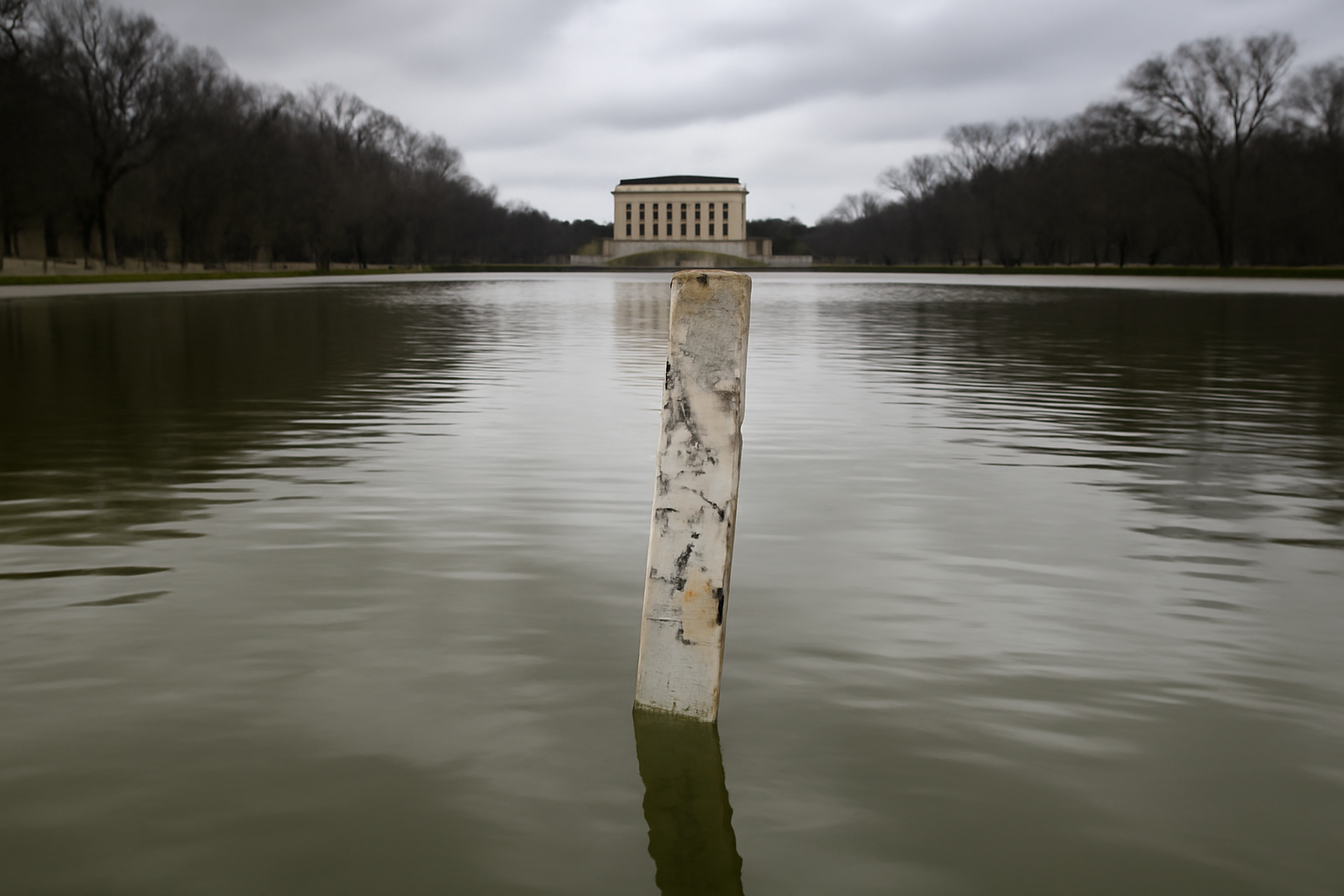 Detached strip of paint floating above the surface of the Lincoln Memorial Reflecting Pool